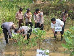 Ecology Policing : Polres Trenggalek Tanam Mangrove dan Lepas Liarkan Ratusan Tukik