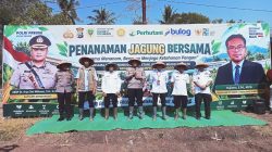 Dukung Hanpangan, Perhutani KPH Bondowoso Dukung Penanaman Jagung