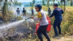 Tiga Pilar Desa Cindogo Bersama PMK Padamkan Kebakaran Lahan Dekat SMPN 1 Tapen
