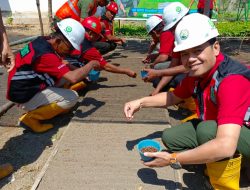 Perhutani KPH Bondowoso Tebar Benih Pinus Serentak di BKPH Sukosari