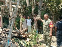 Babinsa Tanggap Cepat, Kebakaran Dapur dan Kandang Sapi di Sempol Berhasil Ditangani