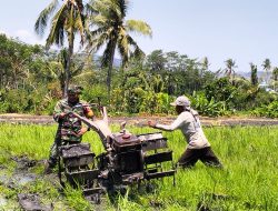 Minggu Tetap Gas! Babinsa Bondowoso Turun ke Sawah, Petani Siapkan Tanam Padi