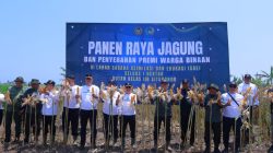 Perhutani Bondowoso dan Rutan Situbondo Panen Raya Jagung