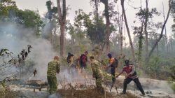 Api Masih Membara di Jalur Pendakian Gunung Raung, TNI-Polri dan Perhutani Bergerak